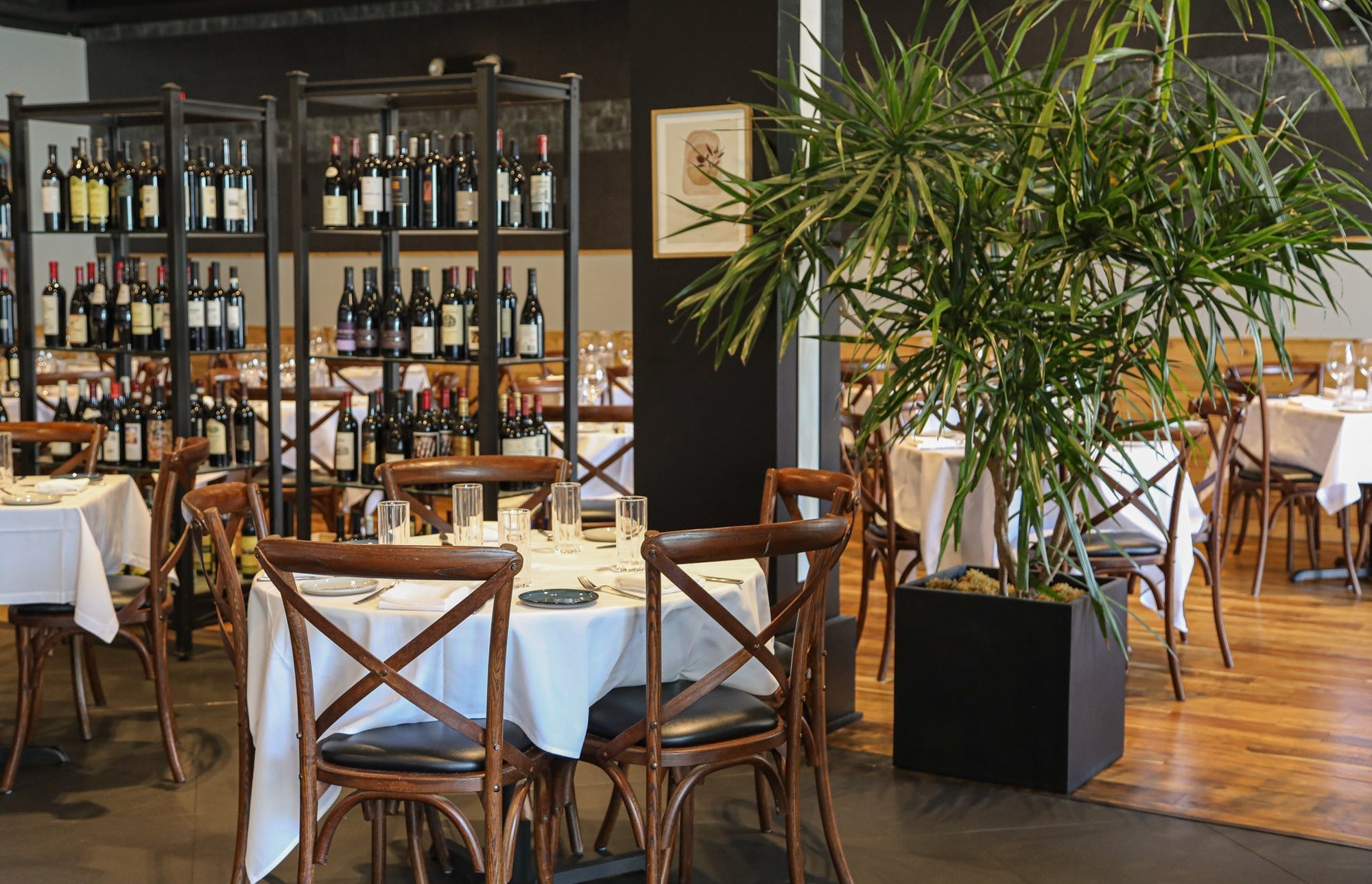 The Inspiring Journey of Shiraz Kitchen and Wine Bar: From Family Recipes to Award-Winning Persian and Mediterranean Dining in NYC and White Plains