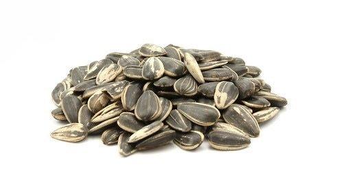 Sunflower Seeds Unsalted BULK 1 LB - Shiraz Kitchen